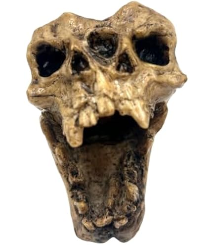 Amazon.com: Screaming Aztec Death Whistle at 135 decibels